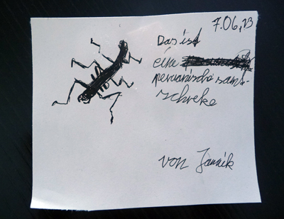 Janniks "Samtschrecken Zeichnung", Foto: (c) Roter Fleck Verlag